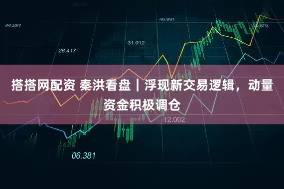 搭搭网配资 秦洪看盘｜浮现新交易逻辑，动量资金积极调仓