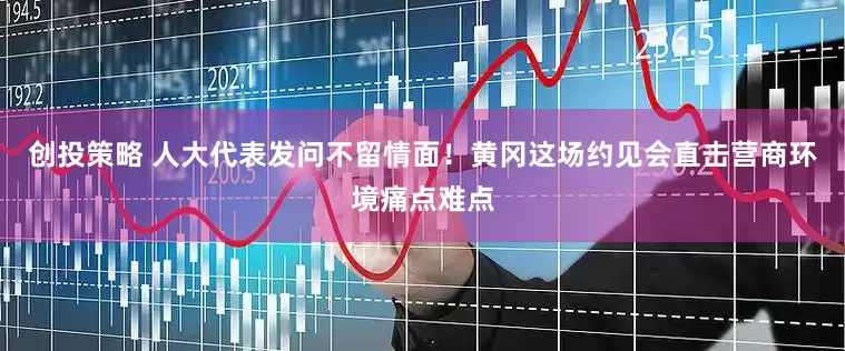 创投策略 人大代表发问不留情面！黄冈这场约见会直击营商环境痛点难点